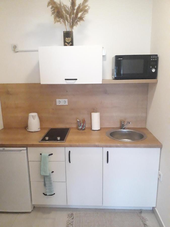 Studio Apartman Promenada サラエヴォ エクステリア 写真
